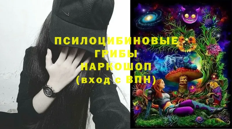 Галлюциногенные грибы Cubensis  где найти   Ангарск 